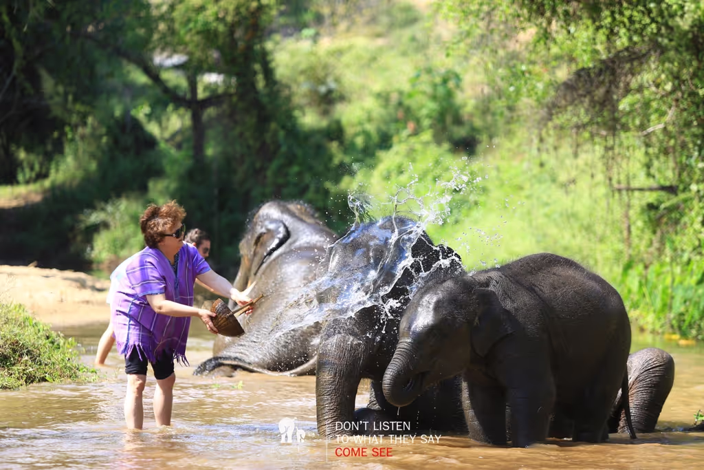 Chiang Mai Private Tour - 