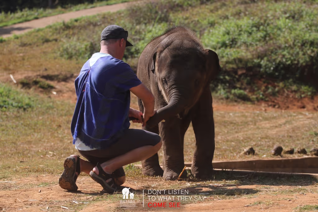 Chiang Mai Private Tour - 