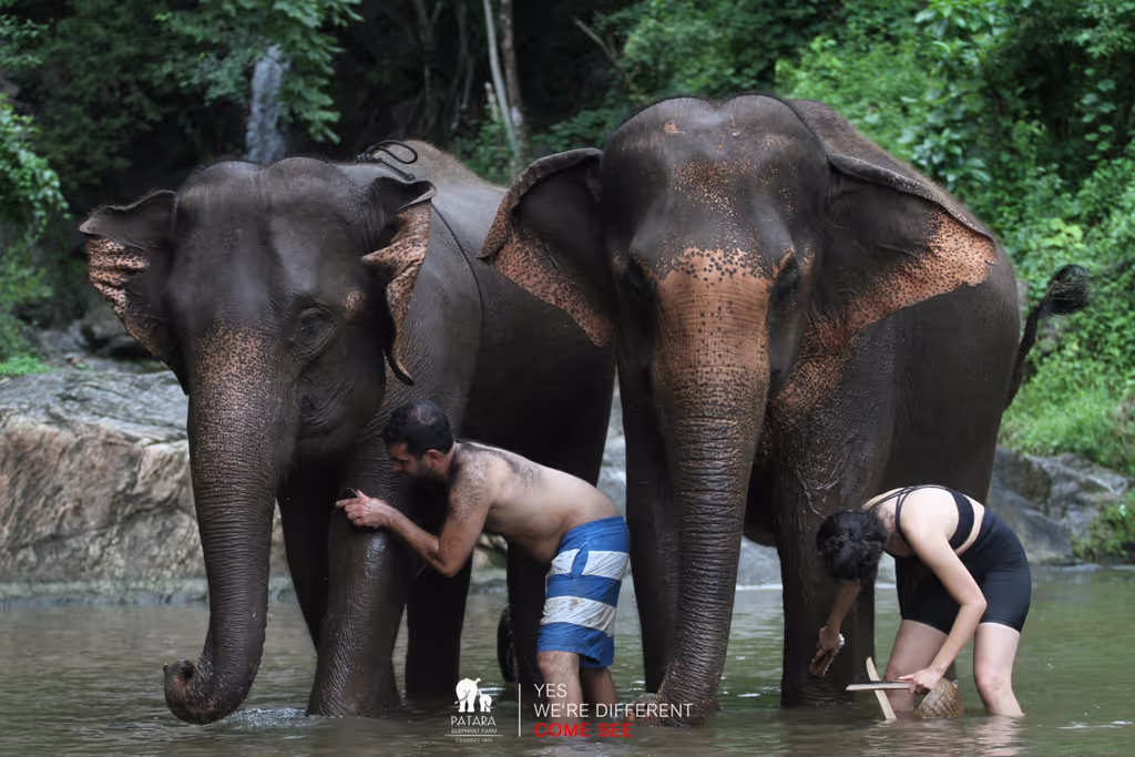 Chiang Mai Private Tour - 