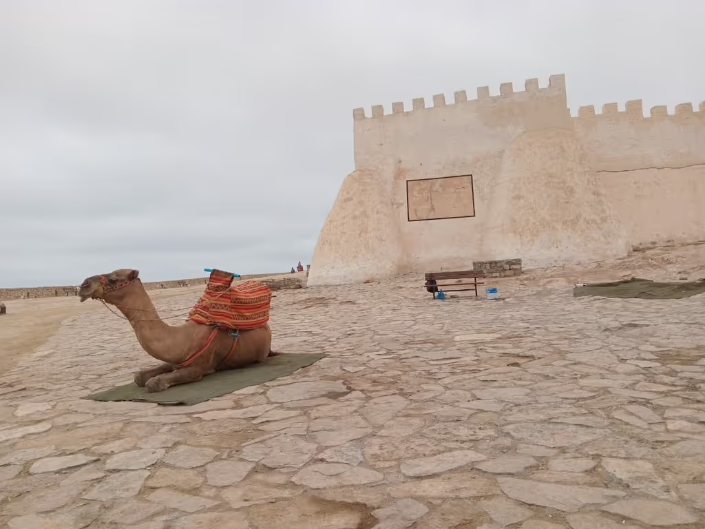 Agadir Private Tour - 