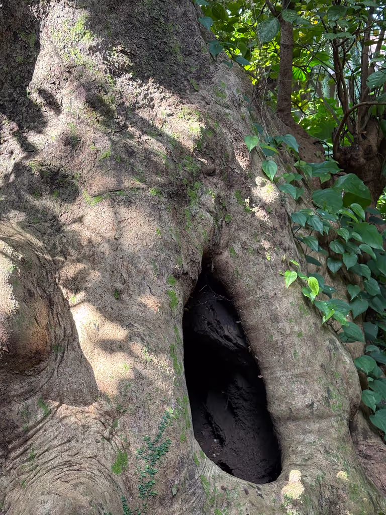 Okinawa Main Island Private Tour - 