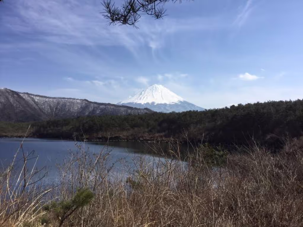 Mount Fuji Private Tour - 