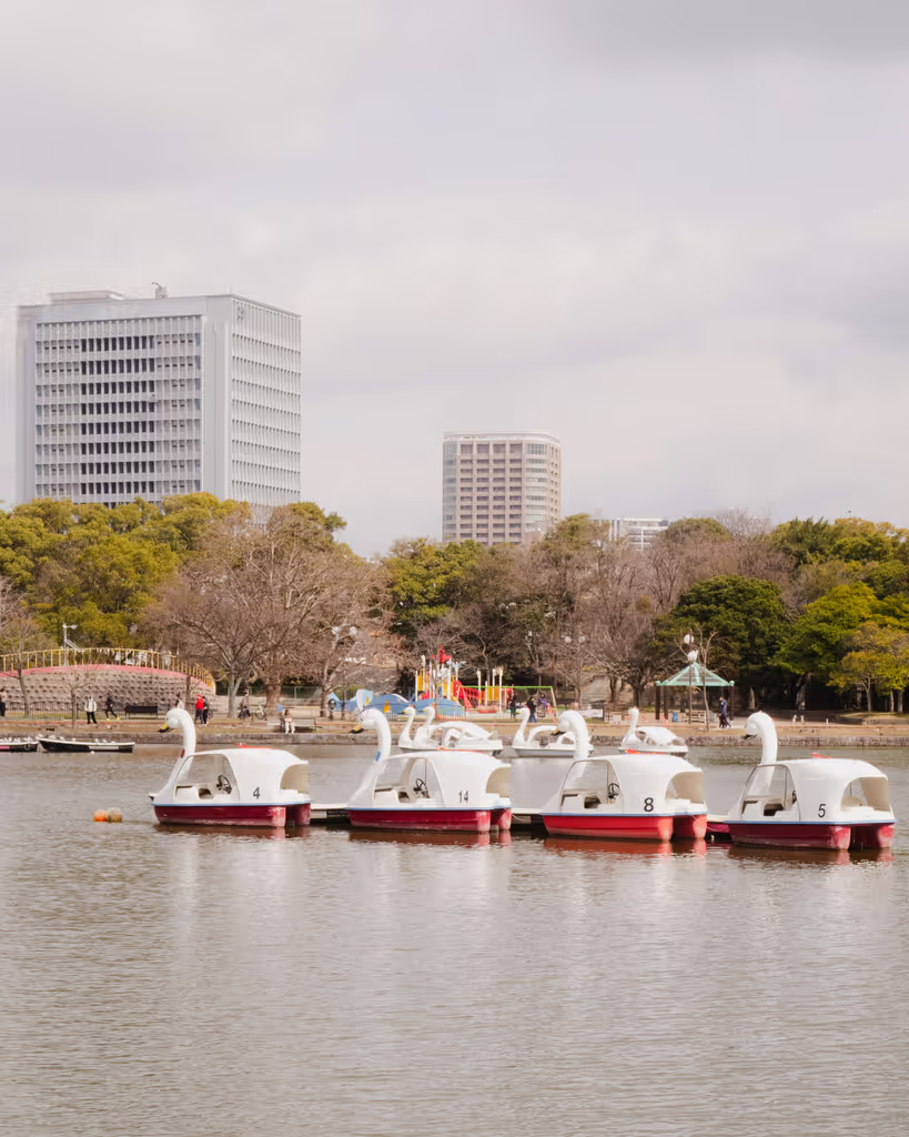 Fukuoka Private Tour - Ohori Park