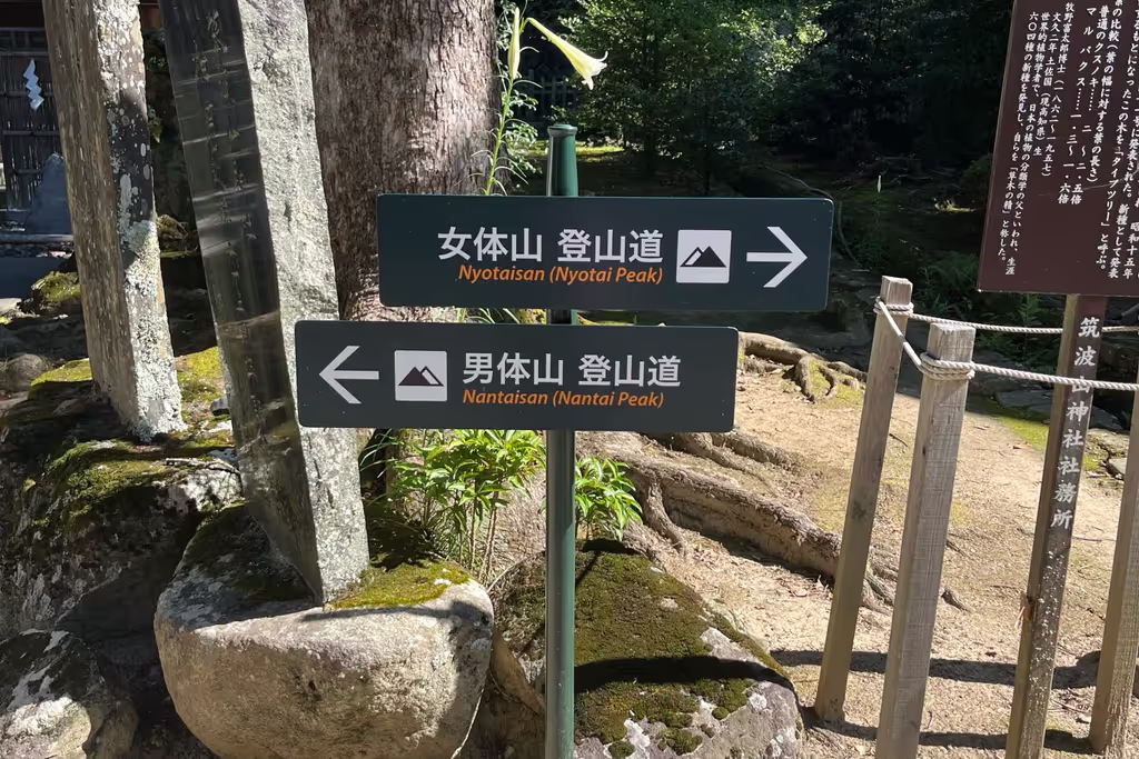 Narita Private Tour - 