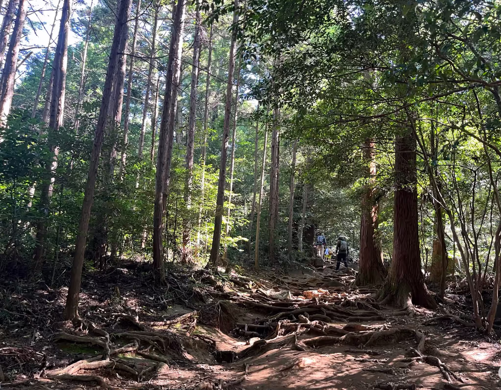 Narita Private Tour - 