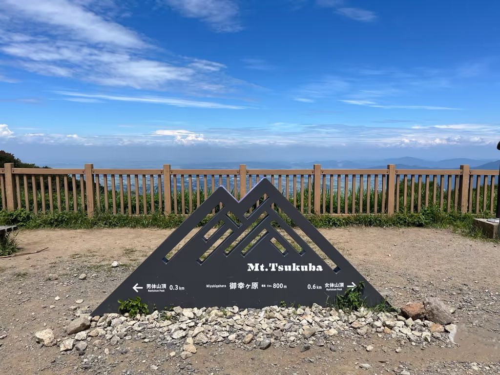 Narita Private Tour - 