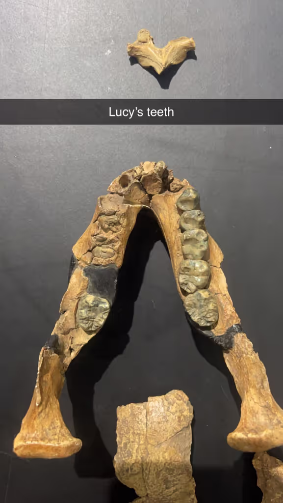 Addis Ababa Private Tour - 