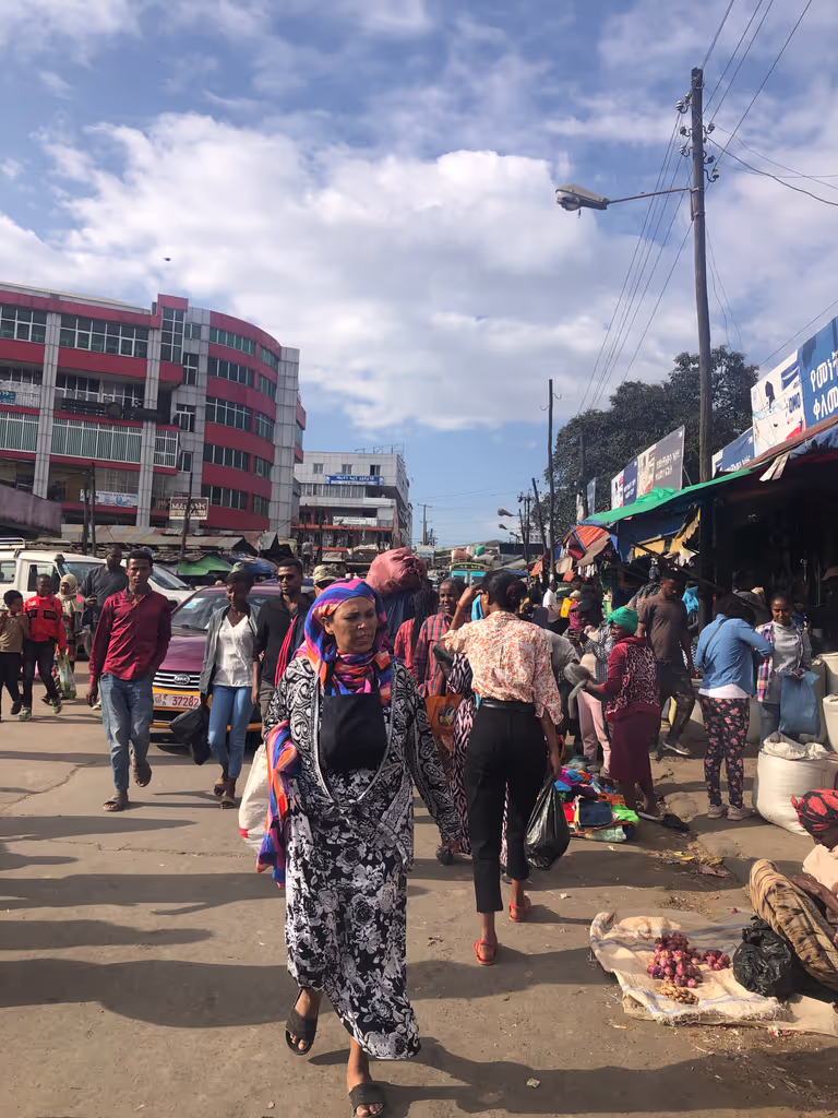 Addis Ababa Private Tour - 