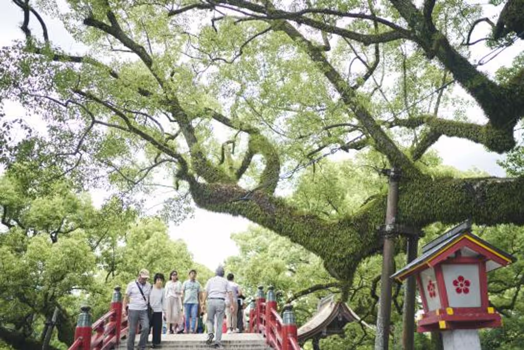 Fukuoka Private Tour - 