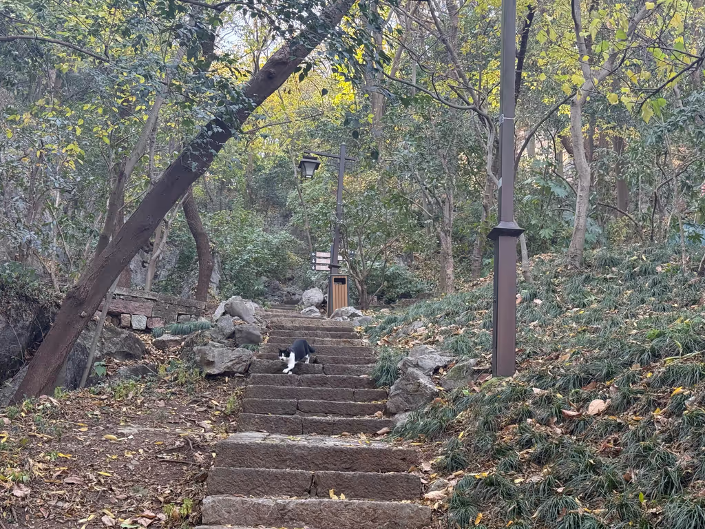 Hangzhou Private Tour - Hill trail