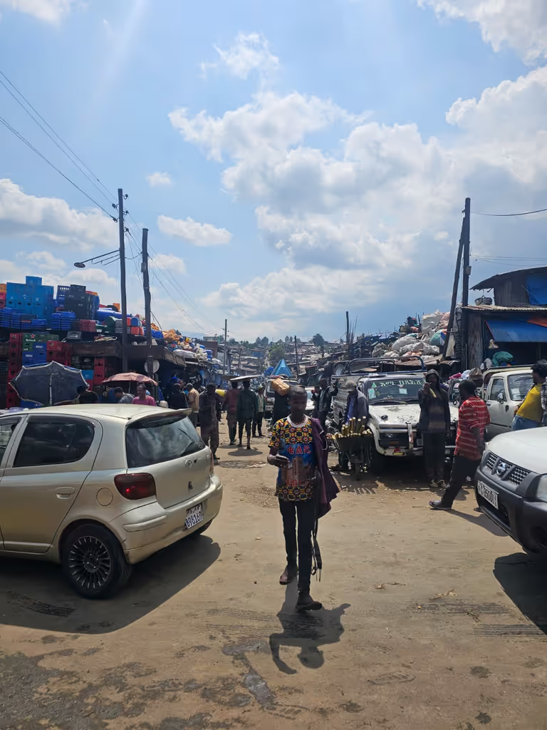 Addis Ababa Private Tour - 