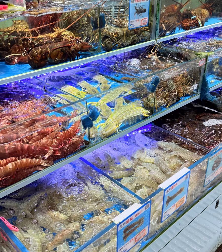 Xiamen Private Tour - Seafood