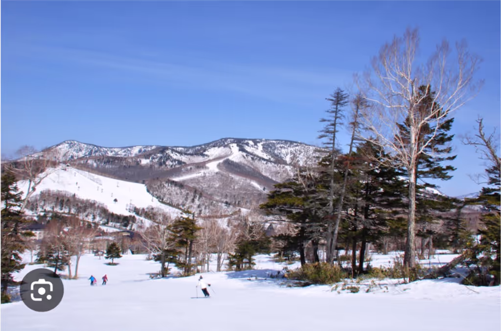 Nagano Private Tour - 