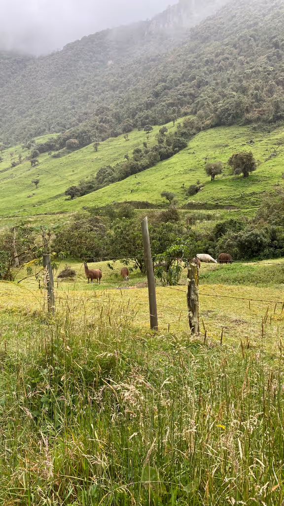 Quito Private Tour - 