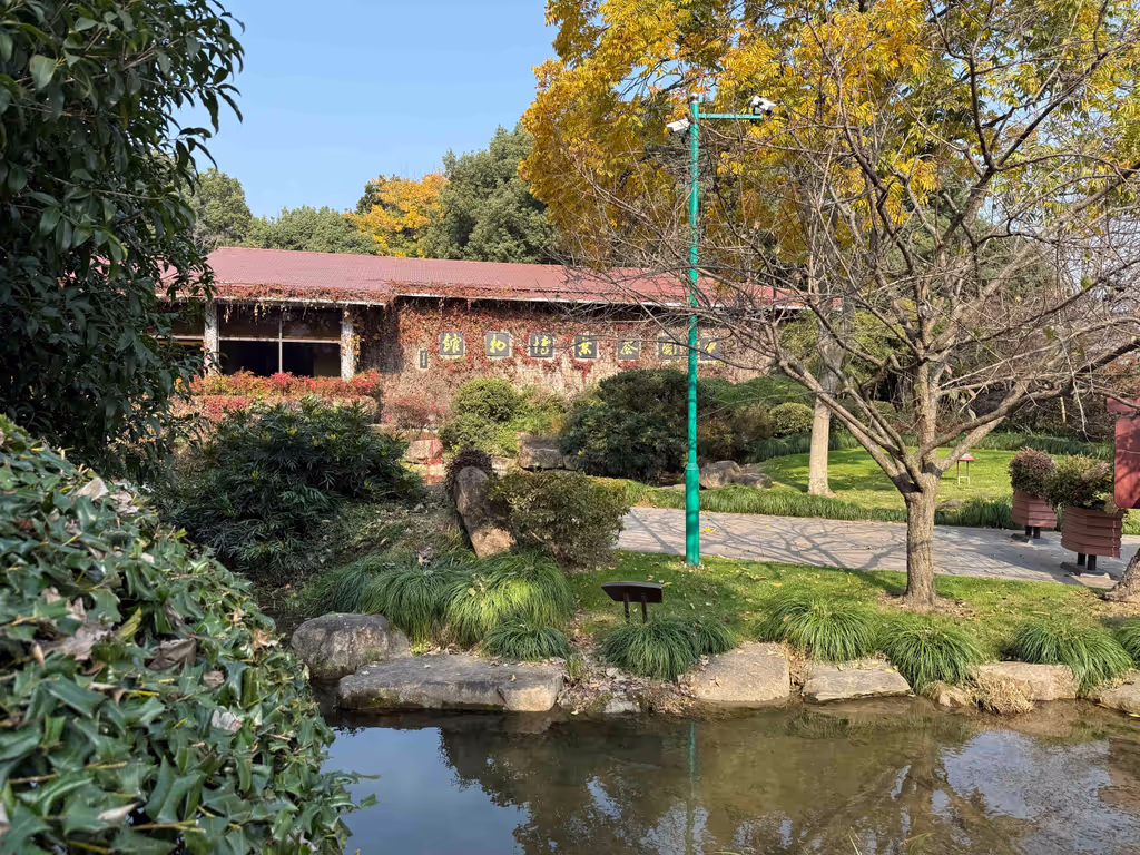 Hangzhou Private Tour - China National Tea Museum, Shuangfeng 1