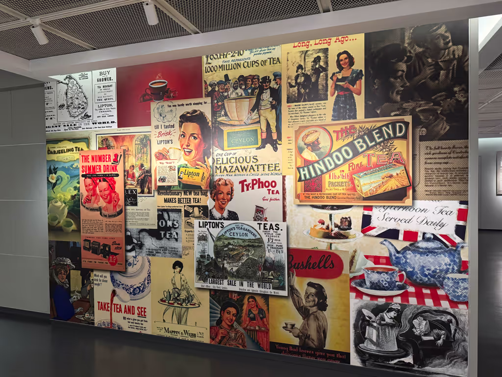 Hangzhou Private Tour - China National Tea Museum, Longjing 2