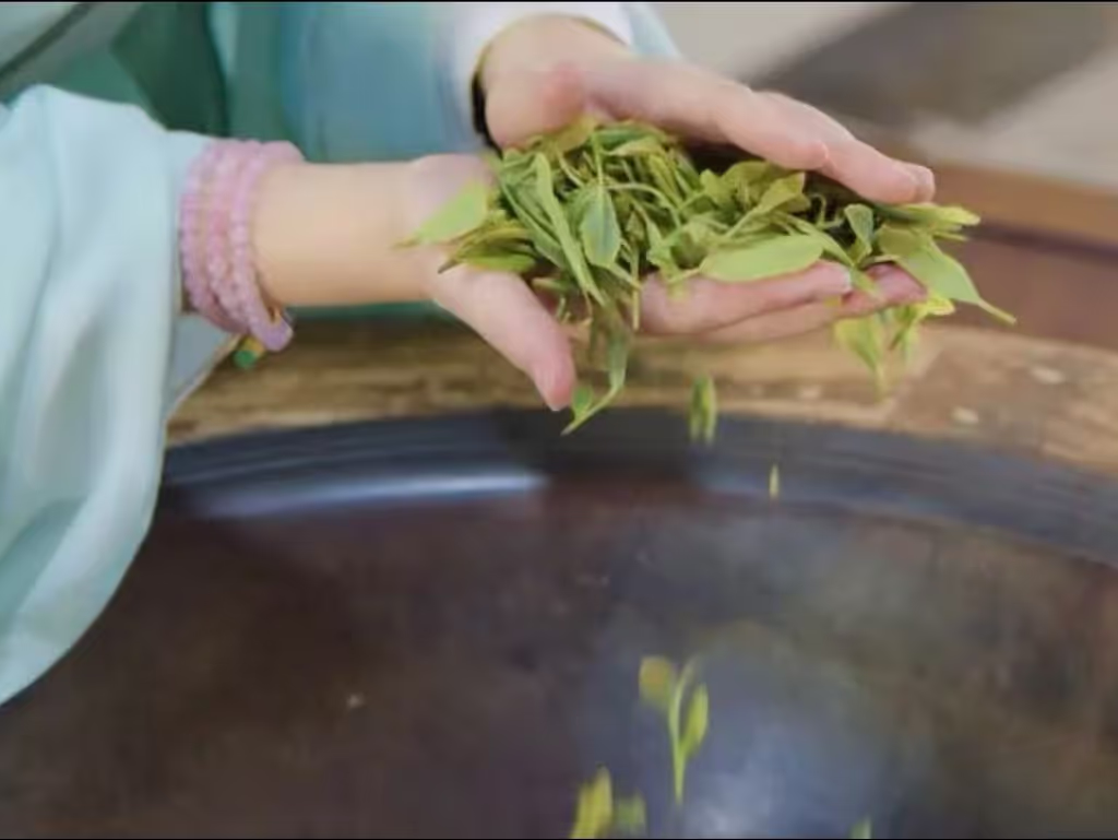 Hangzhou Private Tour - Tea Processing