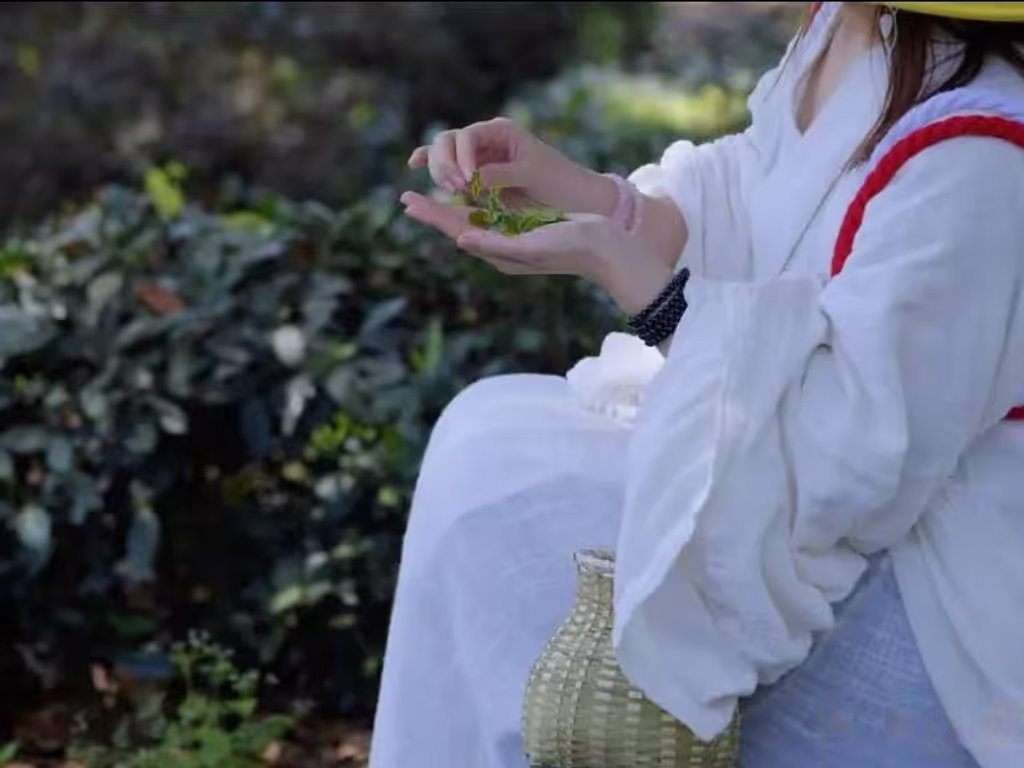 Hangzhou Private Tour - Tea leave picking