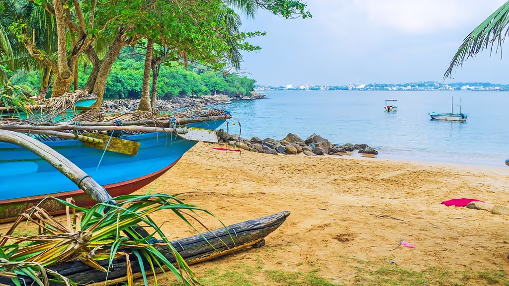 Galle Private Tour - Jungle Beach