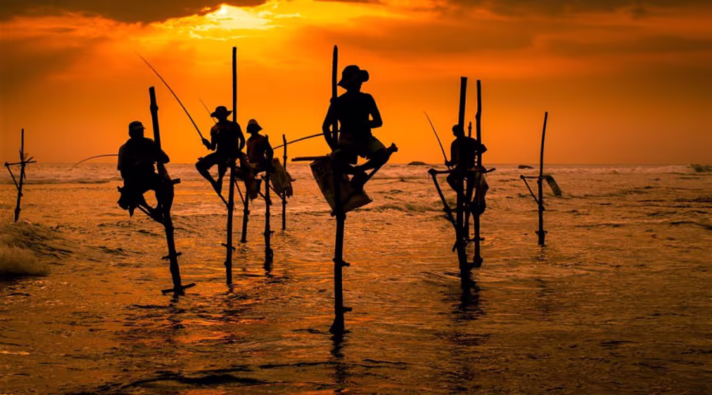 Galle Private Tour - Stilt fishing koggala