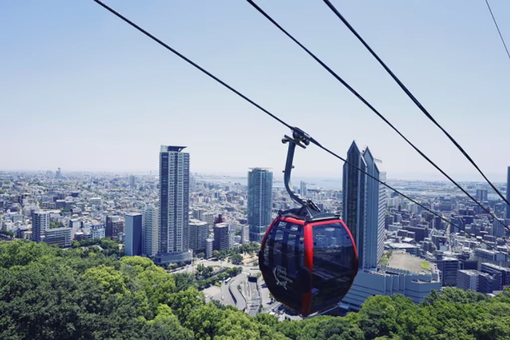 Hyogo Private Tour - 