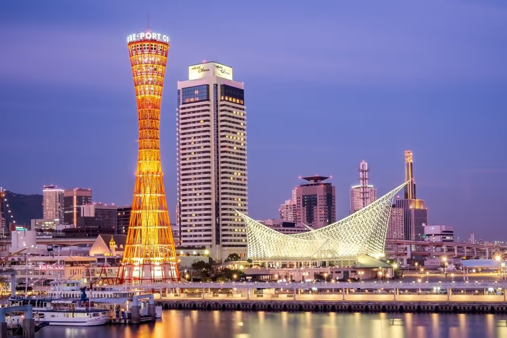 Hyogo Private Tour - 