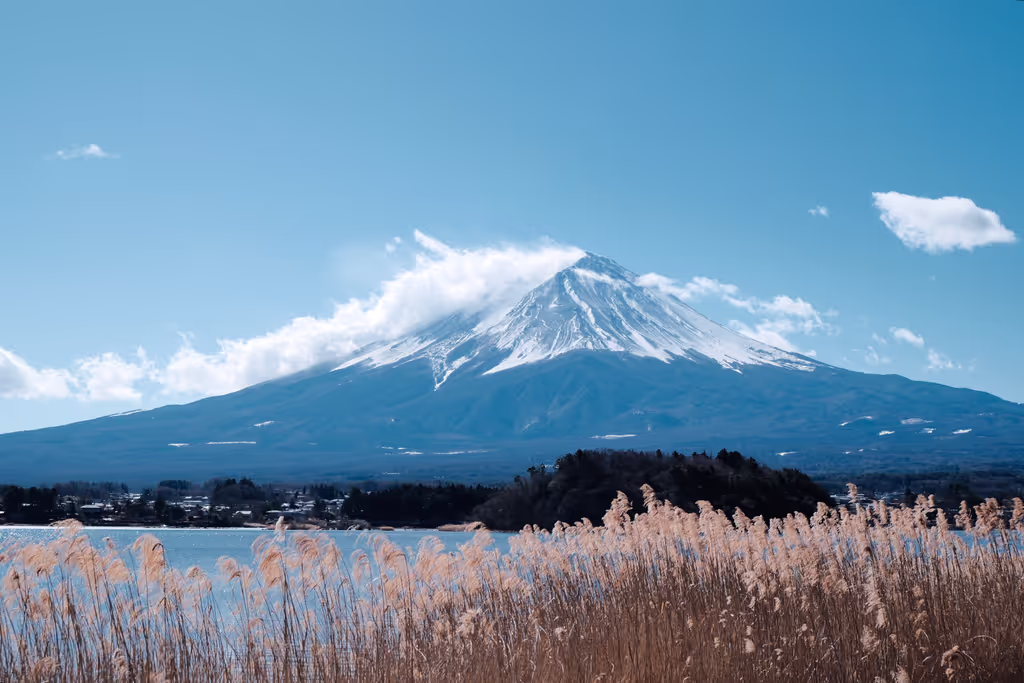 Narita Private Tour - 