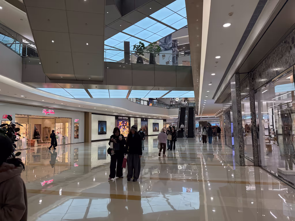Hangzhou Private Tour - Shopping mall 5