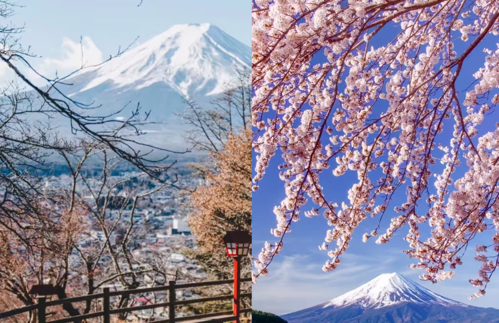 Narita Private Tour - 