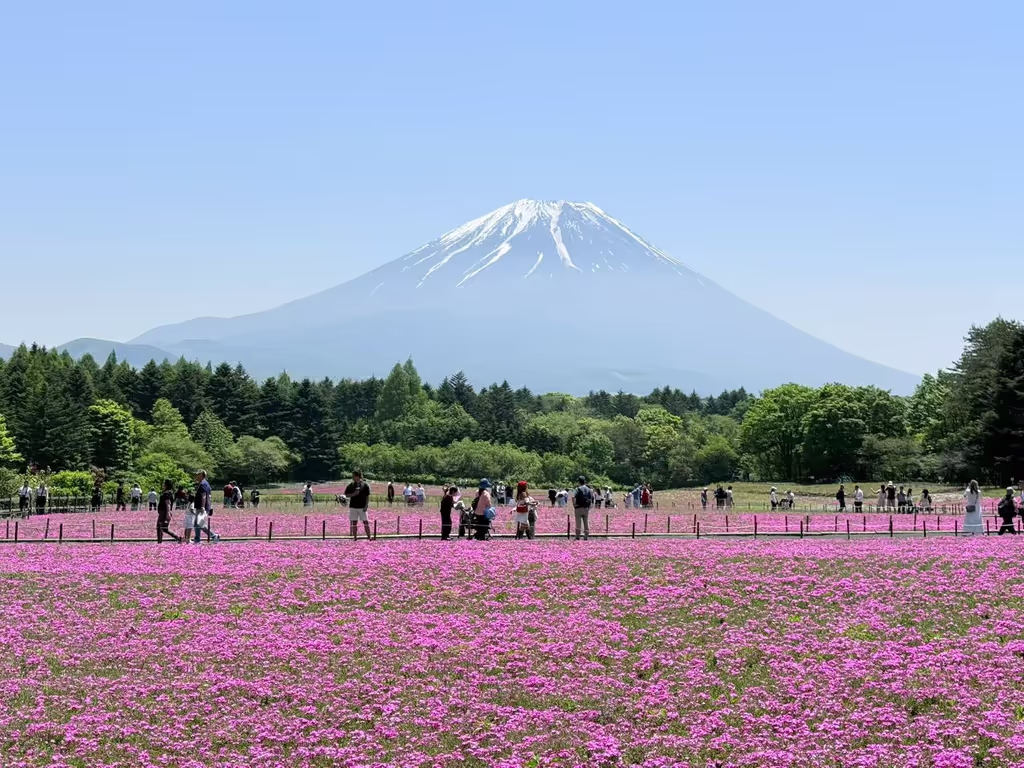 Narita Private Tour - 