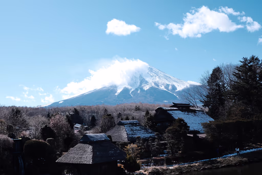 Narita Private Tour - 