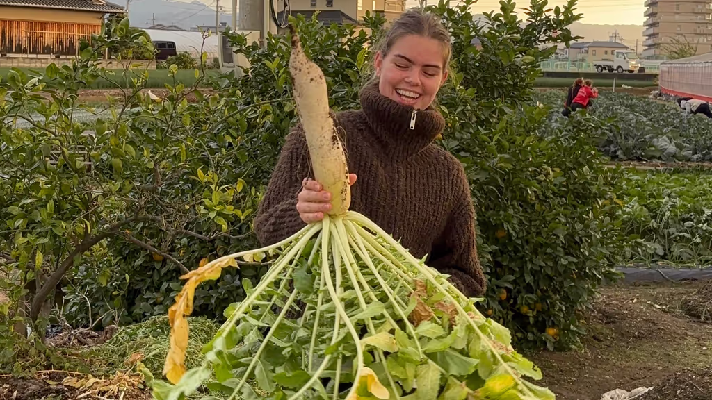 Osaka Private Tour - Learn about Japanese farming and plants.