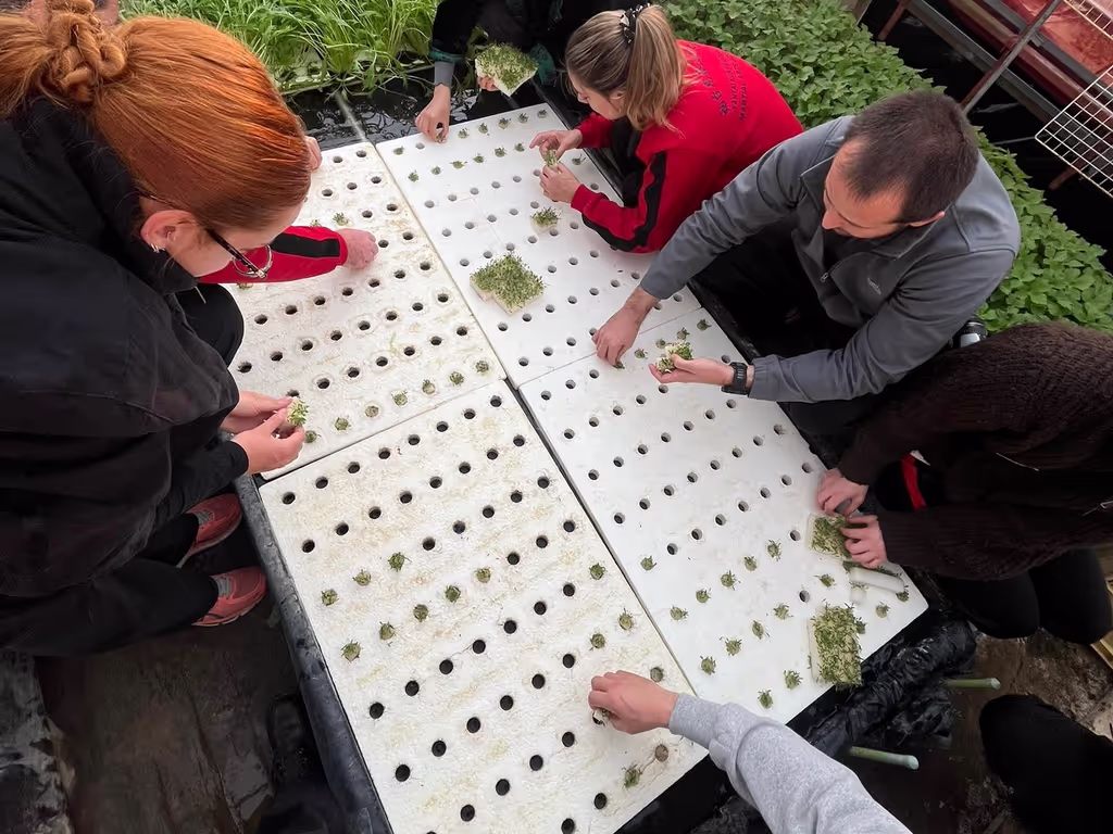 Osaka Private Tour - Hands-on farming experience with local people.