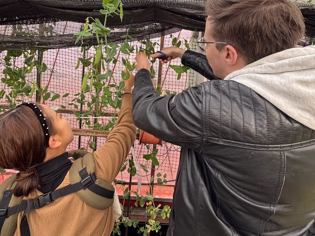 Osaka Private Tour - 