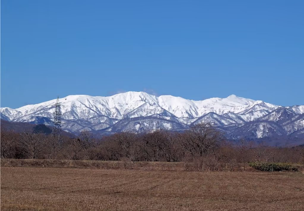 Hakodate Private Tour - 