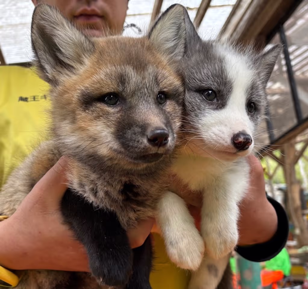 Miyagi Private Tour - 