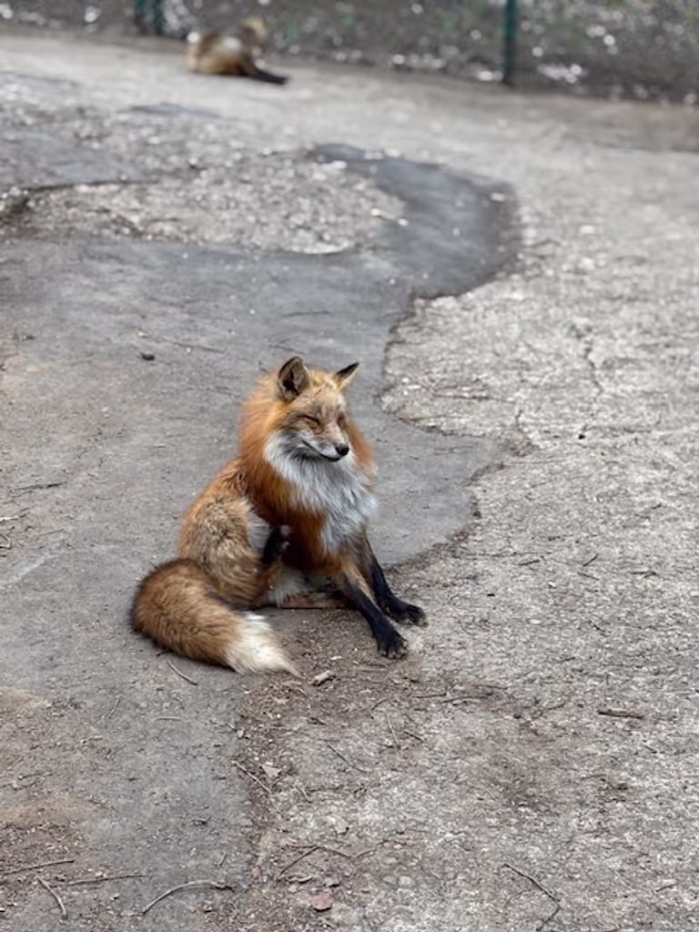 Miyagi Private Tour - 