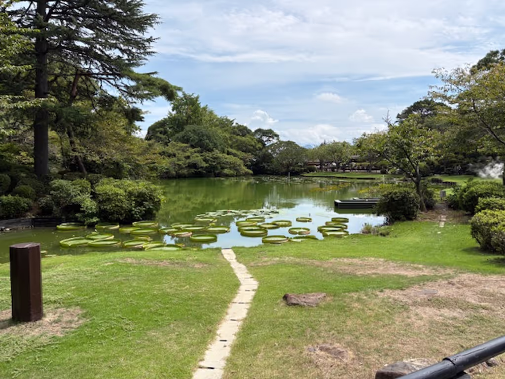Fukuoka Private Tour - Beppu Hells