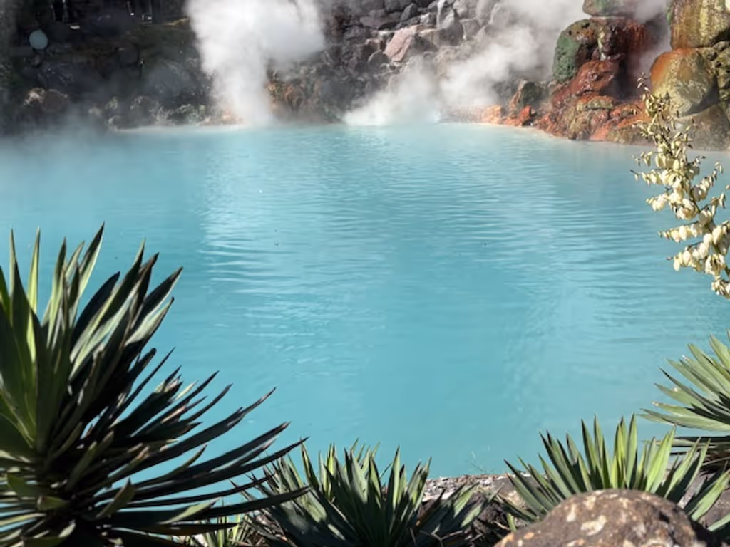 Fukuoka Private Tour - Beppu Hells