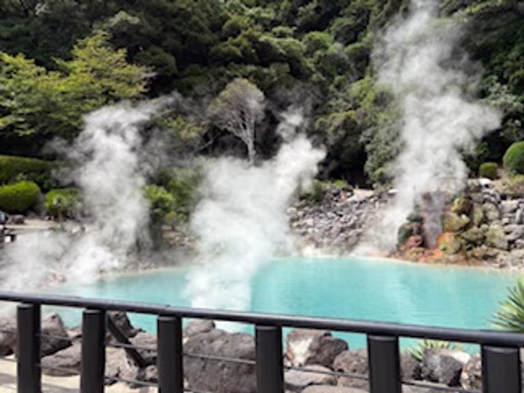 Fukuoka Private Tour - Beppu Hells