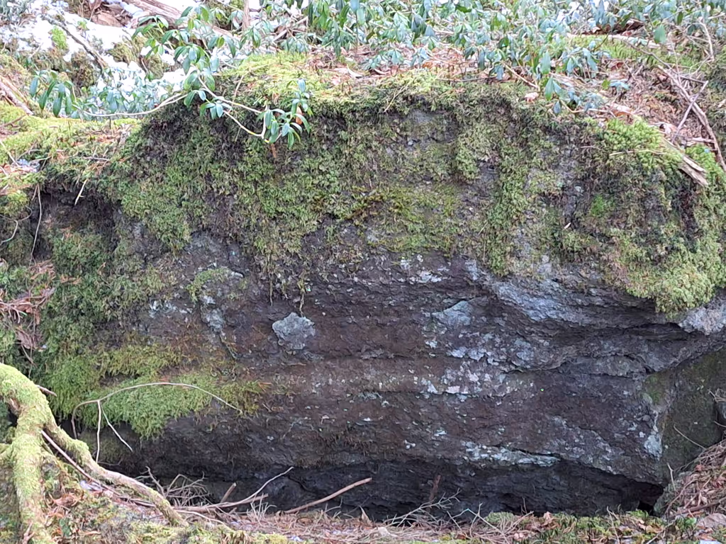 Yamanashi Private Tour - Thin soil layers on thick lava