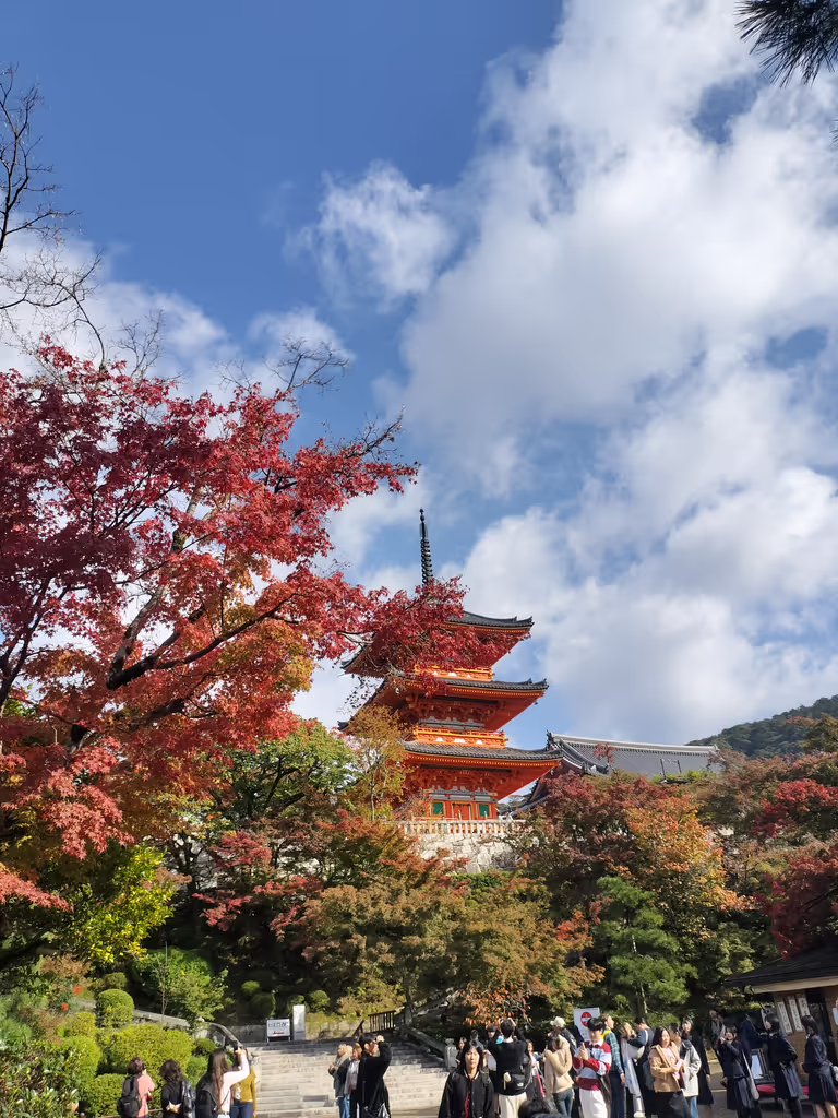 Kyoto Private Tour - 