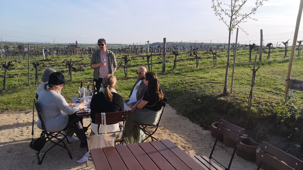 Vienna Private Tour - Sipping and savoring included