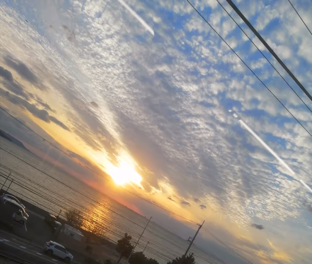 Hyogo Private Tour - 
