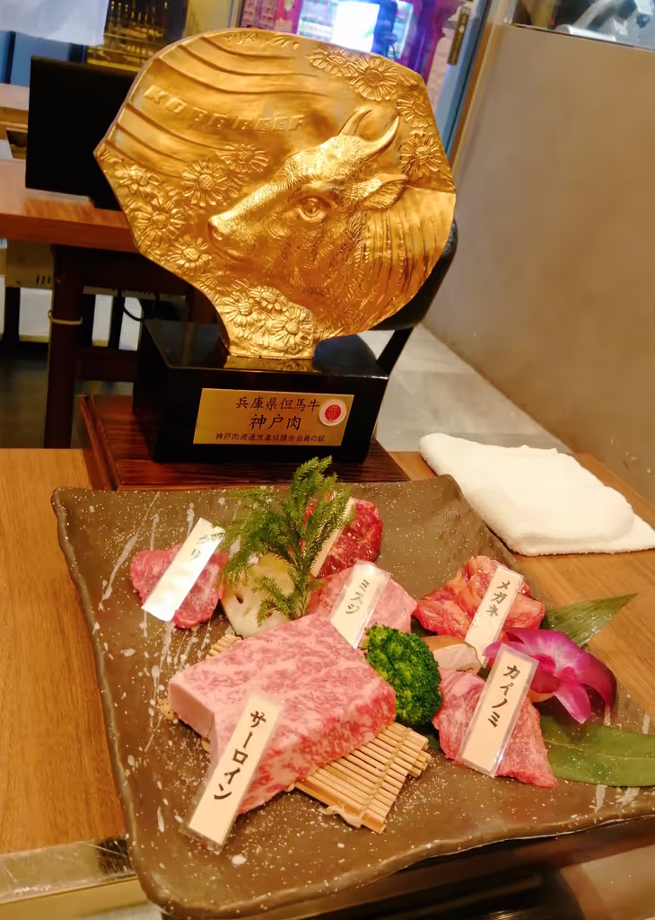 Hyogo Private Tour - 