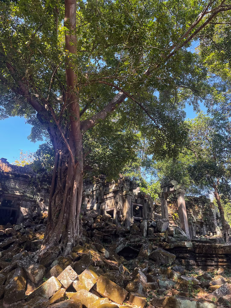 Siem Reap Private Tour - Beng Mealea temple