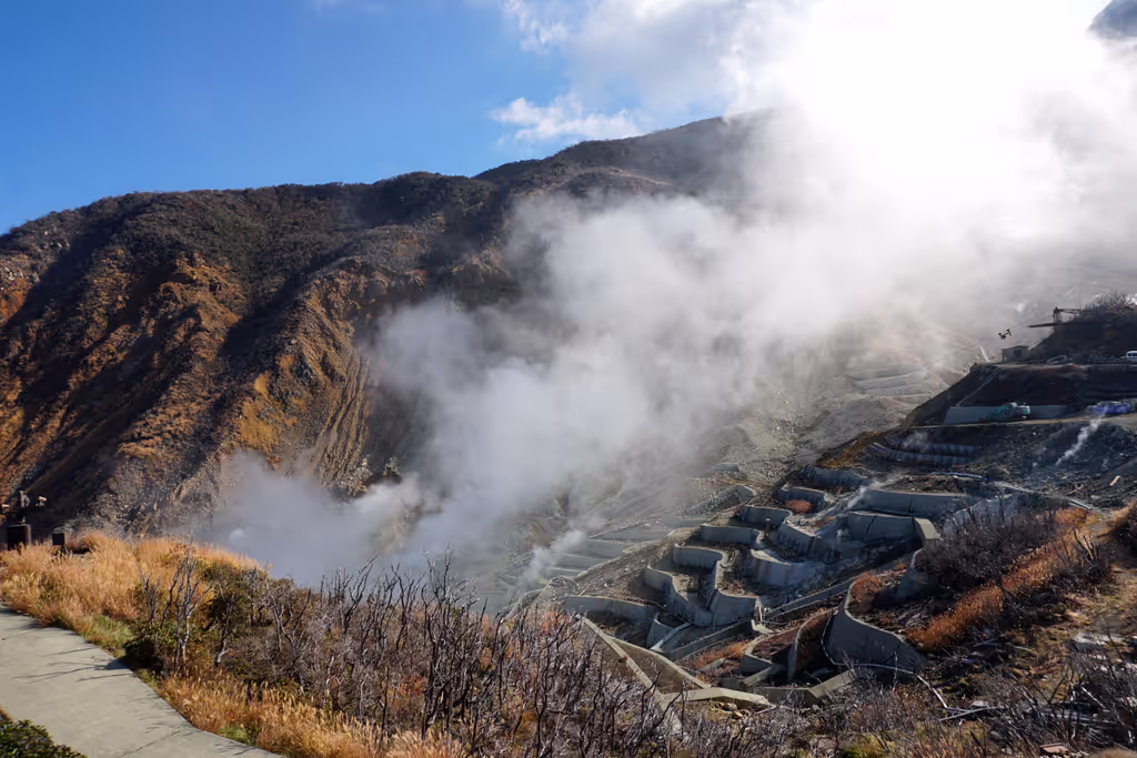Kanagawa Private Tour - Vallée d'Owakudani