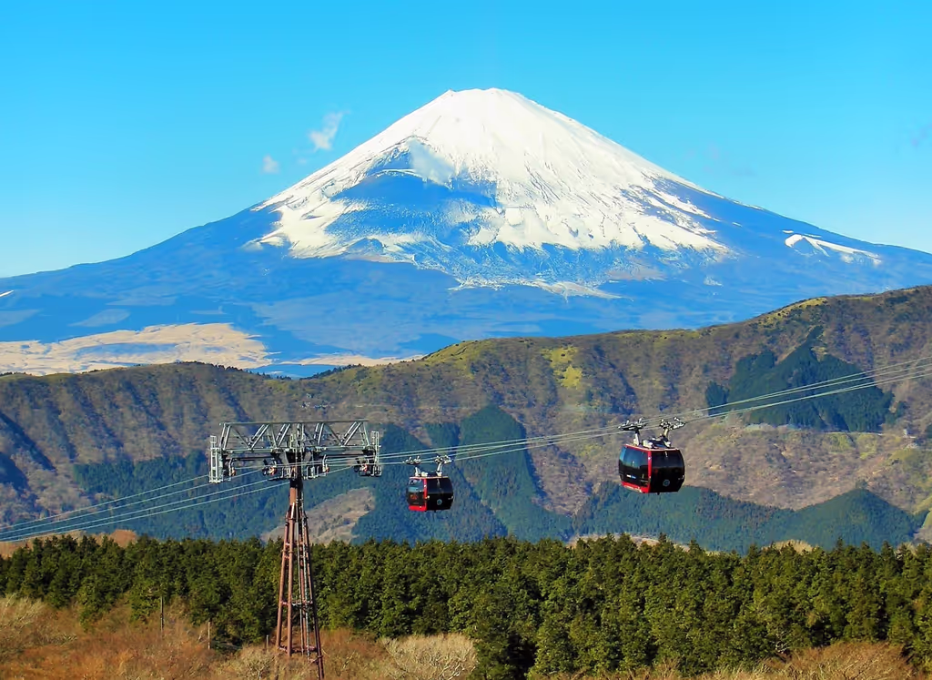 Kanagawa Private Tour - Mont Fuji et téléphérique