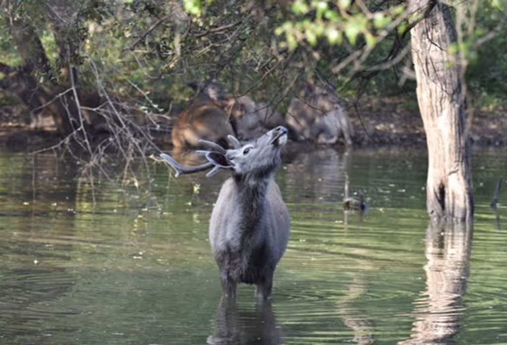 Jaipur Private Tour - 