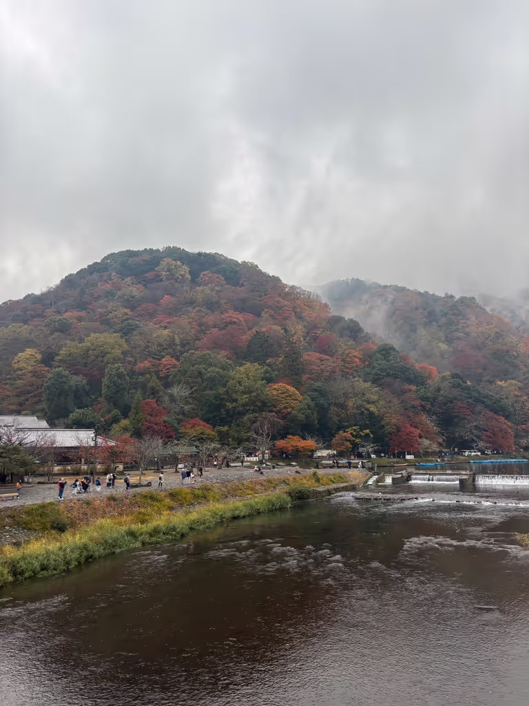 Kyoto Private Tour - 